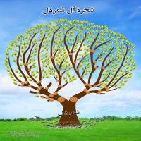 #شجرة عائلة #الشمردل من آل #مطر من بني خالد.
