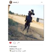 ‏صوت ولا الفارس عبد الله
