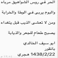 #ابو سيف الخالدي/ #الحر في روس الشواهيق مرباه