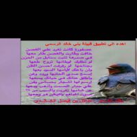 #بقلم_الشاعر_طــلال_بن_فـيـصـل_الخــالــدي(#اهـدء_الي_تـطـبـيـق_قـبـيـلـة_بـني_خـالـد_الرسمي