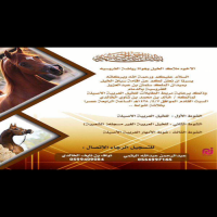 #للاخوه_ملاك_الخيل_وهواة_رياضية_الفروسيه  #يسرنا الإعلان لكم عن إقامة #سباق #الخيل #بميدان #الملك_سلمان بن عبدالعزيز للفروسيه بالدمام