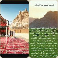 #الشاعر / محمد بن عطا التيماني لو النخل تمشي كما تمشي النيـب لاشيل وانزل عندهم مـن عشاهـا