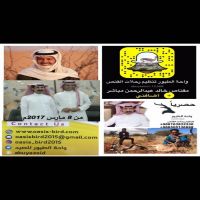 #مقناص_الفنان_خالد_عبدالرحمن عبر مكتب الخالدي  واحة الطيور