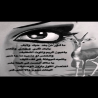 #ما ادور من بعد حبك ولايف #ظاهر المرعى