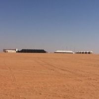 دعوة لمحبي التراث والإبل .