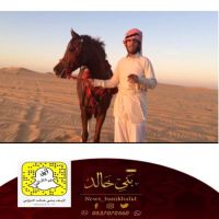 الفارس محمد الراشد.