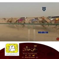 #المجدل في #المركز #الاول #للشوط الحادي عشر #طرب