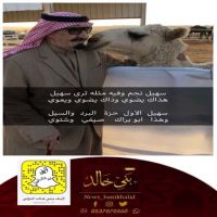 أبيات #الشاعر #محمد #الباسط في #الأمير نهار #العريعر.