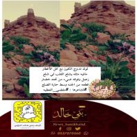 #قطعه من #الجنه وسط #حارة #الضلع للشاعر #مفضي #الخالدي.