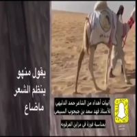 #قصيدة الشاعر #حمدالدليهي