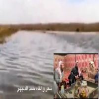 #الشاعر #حمد_الدليهي #قصيدة_الأمطار #والربيع