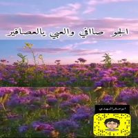 #الشاعر #ابوصقر_النهدي_الخالدي #الجو_صاافي #والعبي_يالعصافير