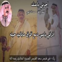 #الشاعر #حمد #الدليهي  #احزني_ياعنك