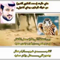 # الشاعر #محمد_العلاوي #القدور_الخالدي