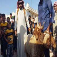#توزيع لحوم ٦٩ اضحية في #المفرق وإدلب وارقبان