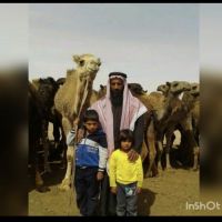 #شادة في  #بني_خالد #البوادي من العليان