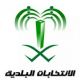 أسماء الفائزين بالانتخابات المجلس البلدي 