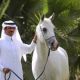 لقاء المهندس عبدالعزيز الغملاس : عبر صباح السعوديه
